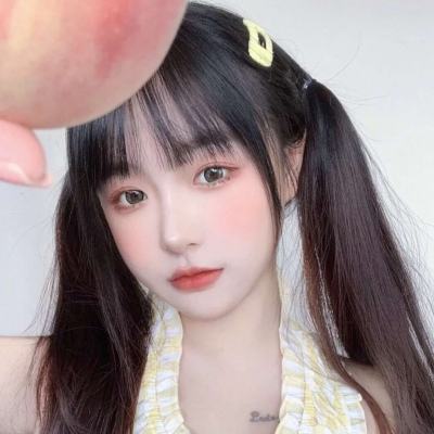 宝可梦剑与盾破解版下载